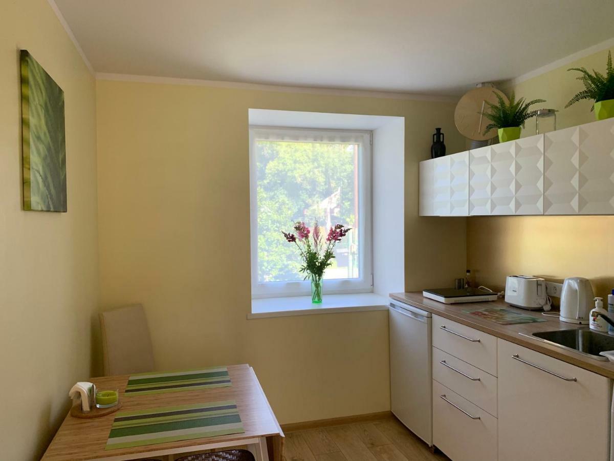 Excelent Apartment With Garden And Free Parking Riga Exterior foto