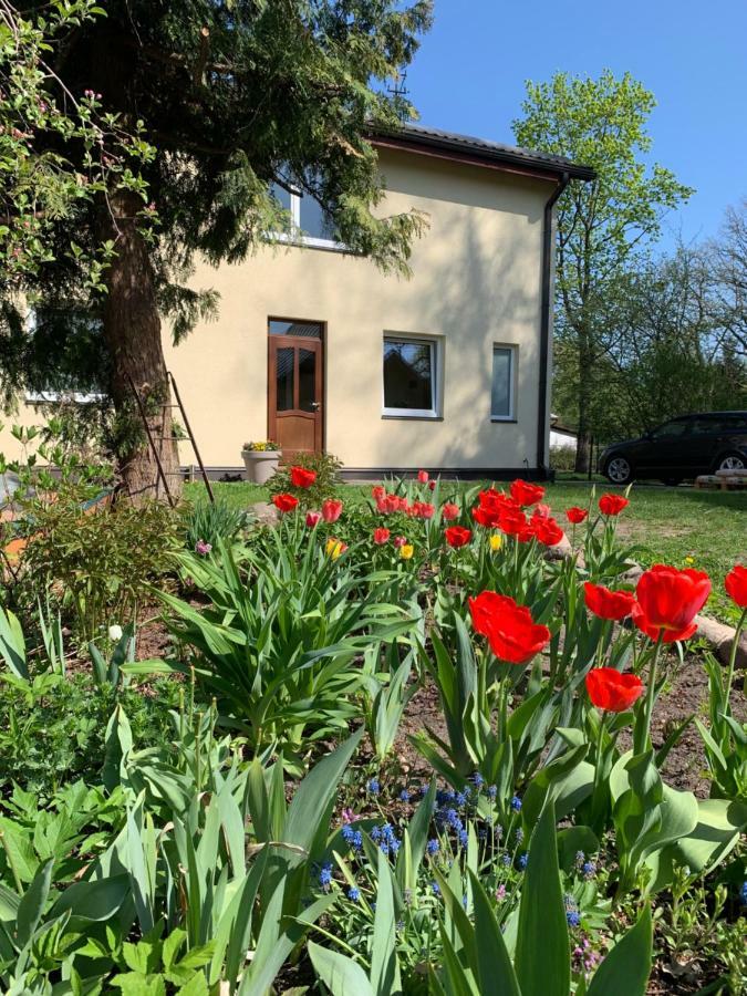Excelent Apartment With Garden And Free Parking Riga Exterior foto